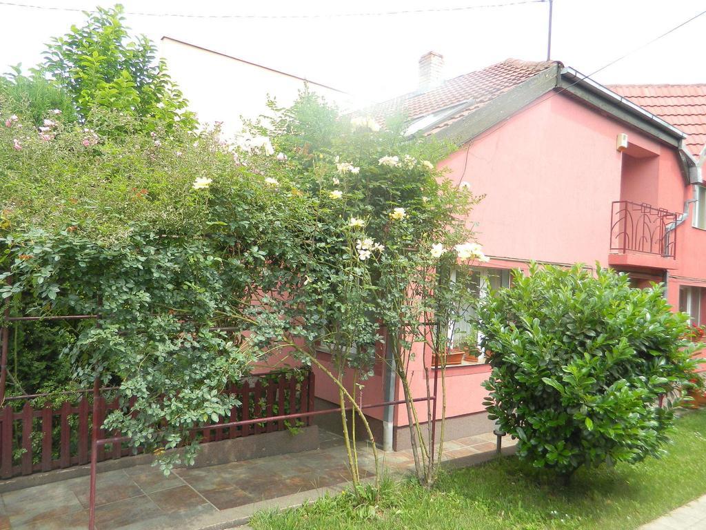 Cazare Vio Hotel Cluj-Napoca Buitenkant foto