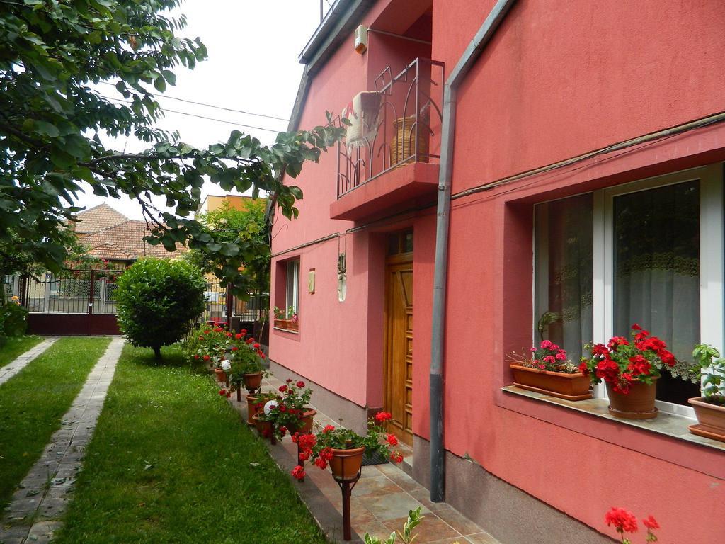 Cazare Vio Hotel Cluj-Napoca Buitenkant foto